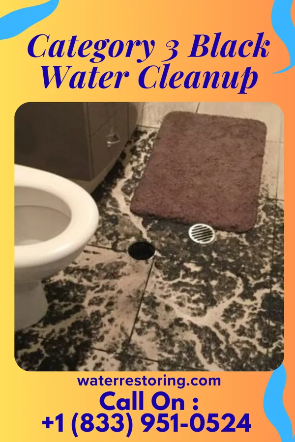 Category 3 Black Water Cleanup in Lithopolis, OH