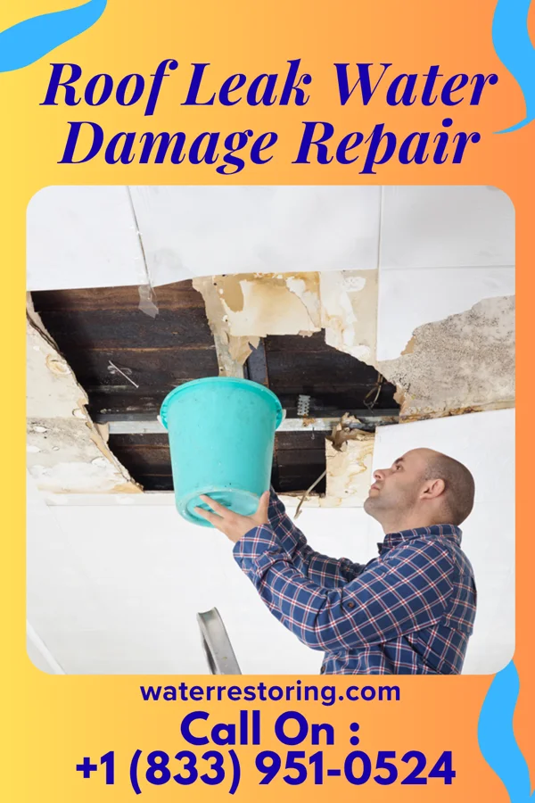 Roof Leak Water Damage Repair in Lithopolis, OH