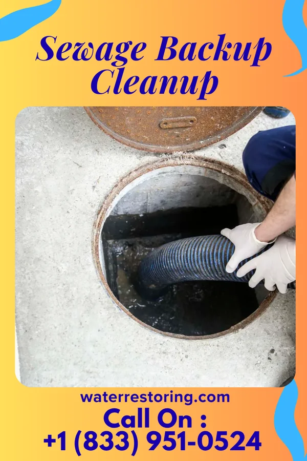 Sewage Backup Cleanup in Lithopolis, OH