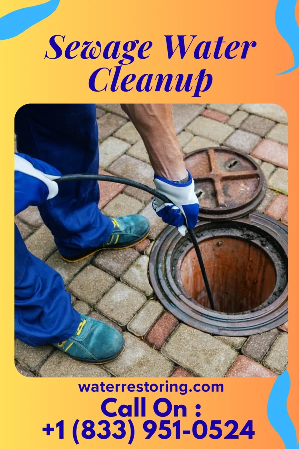 Sewage Water Cleanup in Lithopolis, OH